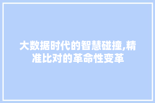 大数据时代的智慧碰撞,精准比对的革命性变革