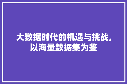 大数据时代的机遇与挑战,以海量数据集为鉴