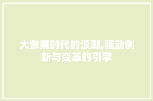 大数据时代的浪潮,驱动创新与变革的引擎