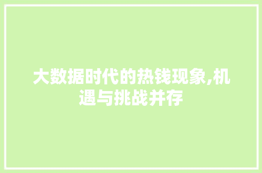 大数据时代的热钱现象,机遇与挑战并存