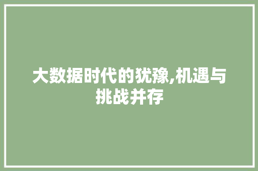 大数据时代的犹豫,机遇与挑战并存