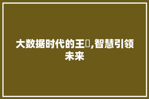 大数据时代的王玥,智慧引领未来