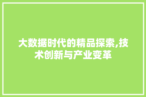 大数据时代的精品探索,技术创新与产业变革