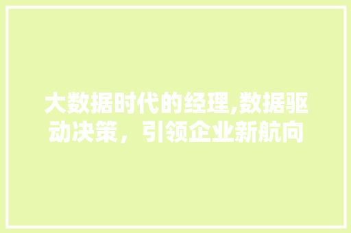 大数据时代的经理,数据驱动决策，引领企业新航向