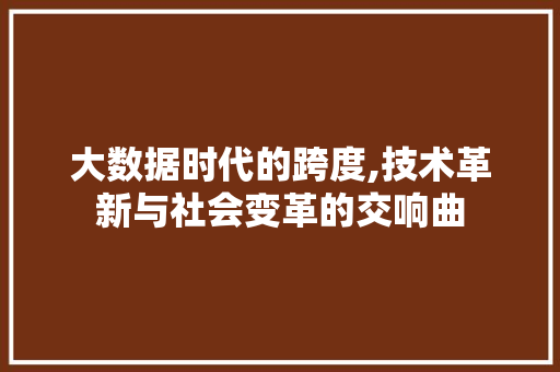 大数据时代的跨度,技术革新与社会变革的交响曲