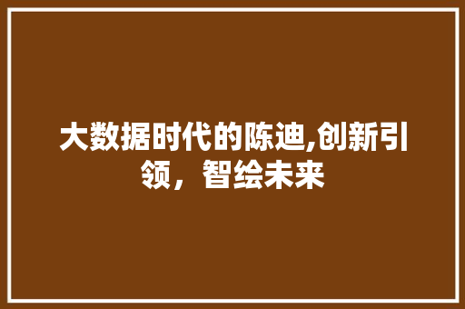 大数据时代的陈迪,创新引领，智绘未来