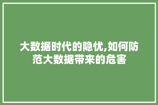 大数据时代的隐忧,如何防范大数据带来的危害