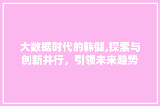 大数据时代的韩健,探索与创新并行，引领未来趋势