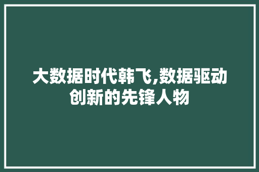 大数据时代韩飞,数据驱动创新的先锋人物