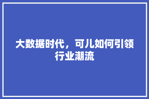 大数据时代，可儿如何引领行业潮流