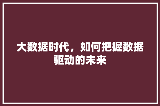 大数据时代，如何把握数据驱动的未来