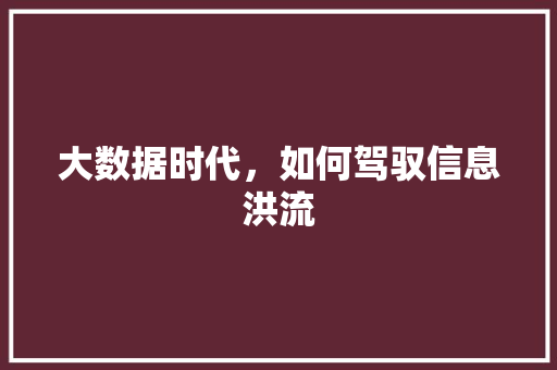 大数据时代，如何驾驭信息洪流