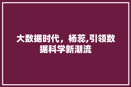 大数据时代，杨蕊,引领数据科学新潮流