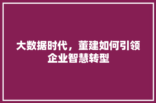 大数据时代，董建如何引领企业智慧转型