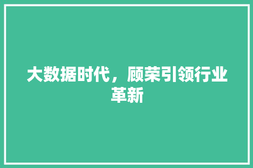 大数据时代，顾荣引领行业革新