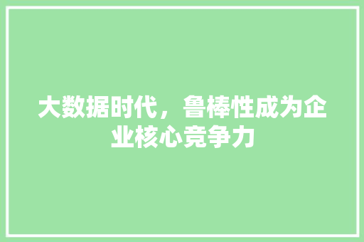 大数据时代，鲁棒性成为企业核心竞争力