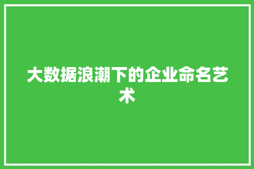 大数据浪潮下的企业命名艺术