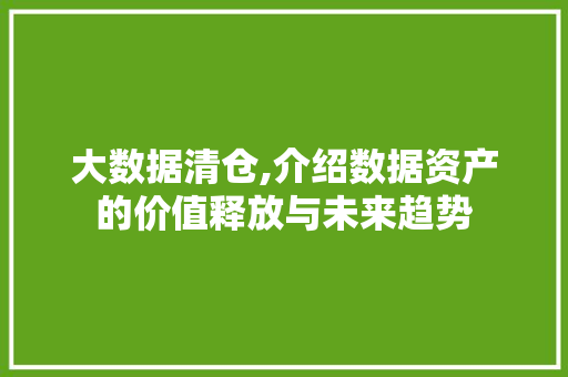 大数据清仓,介绍数据资产的价值释放与未来趋势