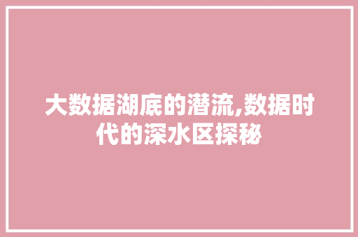 大数据湖底的潜流,数据时代的深水区探秘