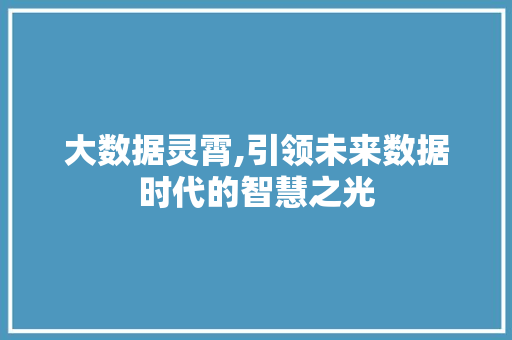 大数据灵霄,引领未来数据时代的智慧之光