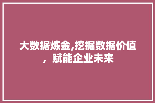 大数据炼金,挖掘数据价值，赋能企业未来