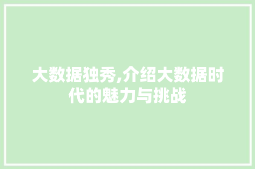 大数据独秀,介绍大数据时代的魅力与挑战