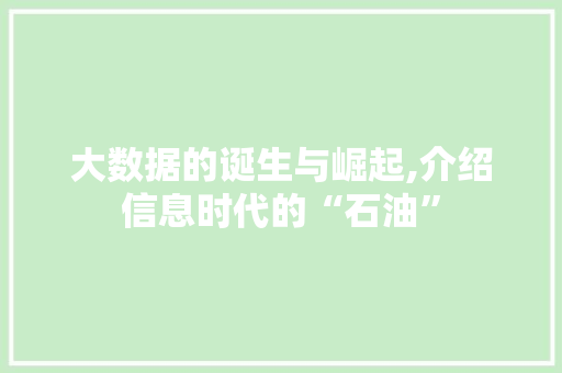 大数据的诞生与崛起,介绍信息时代的“石油”