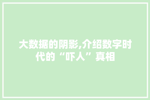 大数据的阴影,介绍数字时代的“吓人”真相