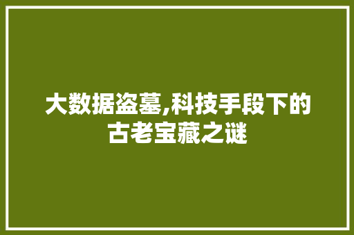 大数据盗墓,科技手段下的古老宝藏之谜