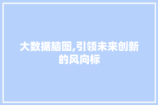 大数据脑图,引领未来创新的风向标