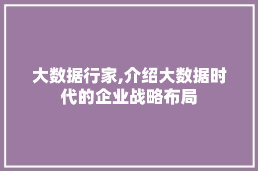 大数据行家,介绍大数据时代的企业战略布局