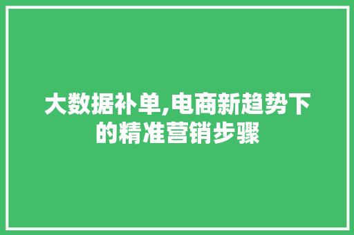 大数据补单,电商新趋势下的精准营销步骤