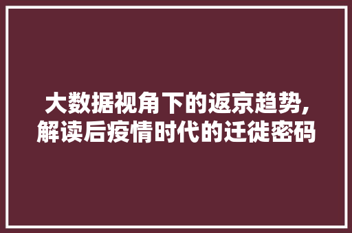 大数据视角下的返京趋势,解读后疫情时代的迁徙密码