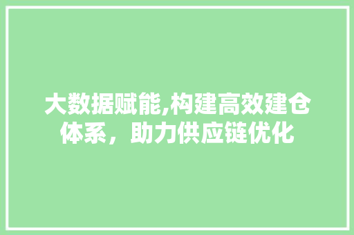 大数据赋能,构建高效建仓体系，助力供应链优化