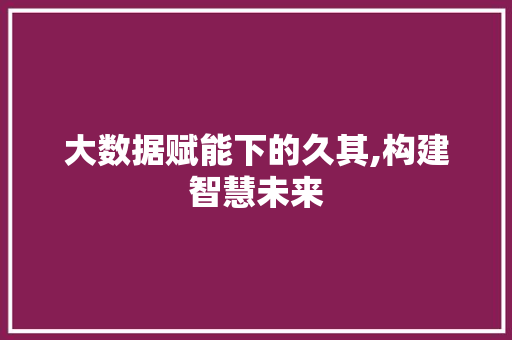 大数据赋能下的久其,构建智慧未来