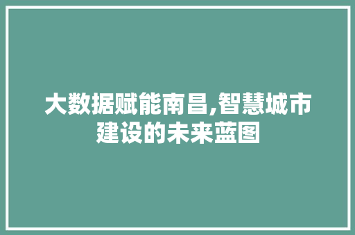 大数据赋能南昌,智慧城市建设的未来蓝图