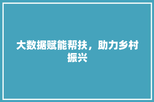 大数据赋能帮扶，助力乡村振兴