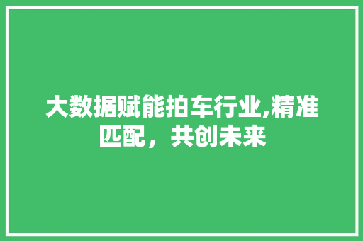 大数据赋能拍车行业,精准匹配，共创未来