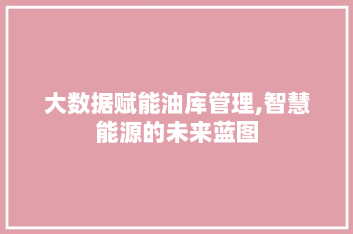 大数据赋能油库管理,智慧能源的未来蓝图