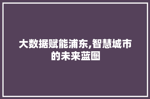 大数据赋能浦东,智慧城市的未来蓝图