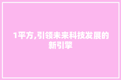 1平方,引领未来科技发展的新引擎