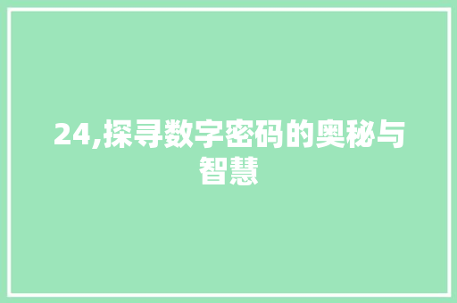 24,探寻数字密码的奥秘与智慧