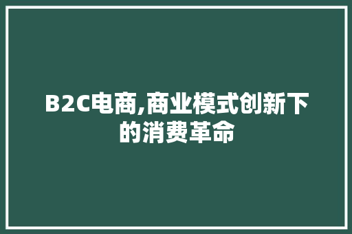 B2C电商,商业模式创新下的消费革命