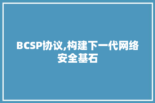 BCSP协议,构建下一代网络安全基石