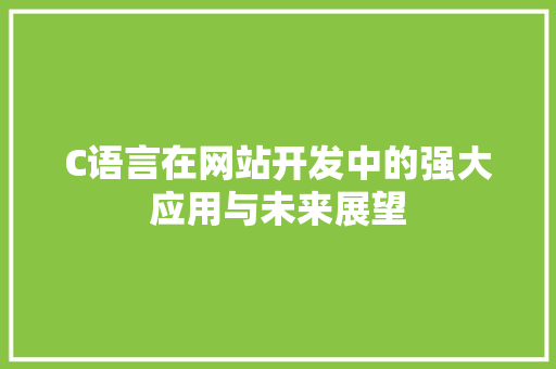 C语言在网站开发中的强大应用与未来展望