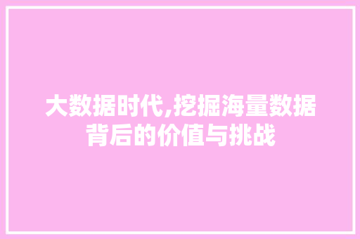 大数据时代,挖掘海量数据背后的价值与挑战