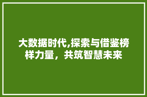 大数据时代,探索与借鉴榜样力量，共筑智慧未来