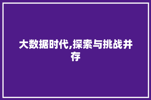 大数据时代,探索与挑战并存