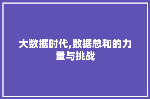 大数据时代,数据总和的力量与挑战