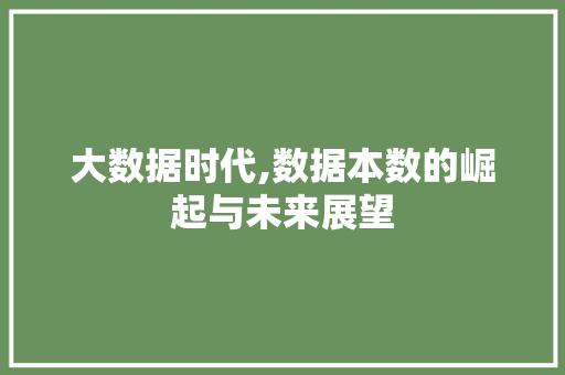 大数据时代,数据本数的崛起与未来展望